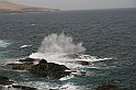 Kanary_2010 033